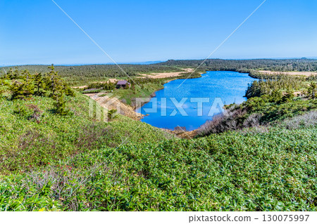 八幡平山頂散步道、岩手八幡平池 130075997