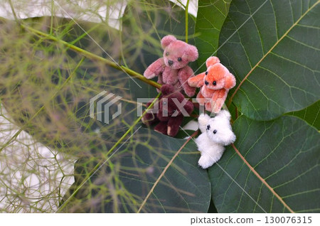 Teddy bears gather around the flower spikes of a smoke tree 130076315