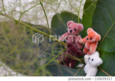 Teddy bears gather around the flower spikes of a smoke tree 130076317