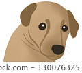 A dog cartoon face  graphic elements decorated  130076325