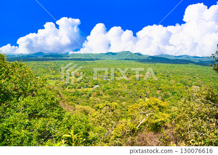 Forest scenery around Sigiriya Rock Forest scenery around Sigiriya Rock 130076616