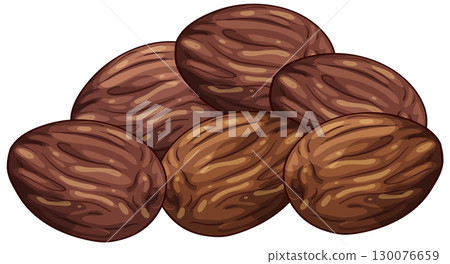 Whole Nutmeg Seeds in Realistic Vector Illustration 130076659
