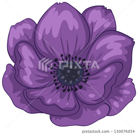 Purple Anemone Flower Vector Illustration with Bold Petals 130076854