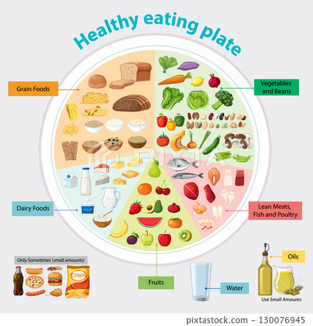Balanced Healthy Eating Plate Vector Infographic Illustration 130076945