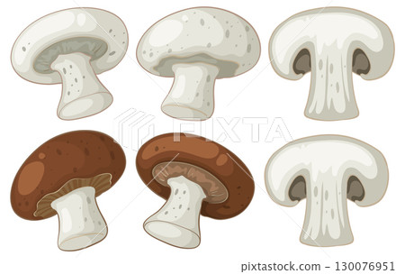 Vector Illustration of White and Brown Mushrooms Set Vector Illustration of White and Brown Mushrooms Set 130076951
