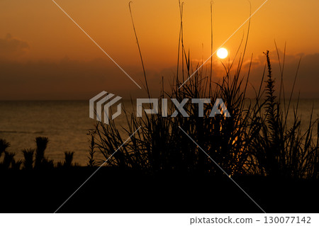 Toward the setting sun 130077142