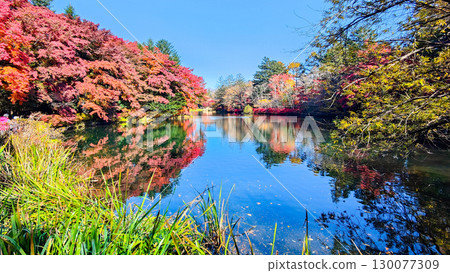 Karuizawa, Kumoba Pond (Autumn) 130077309