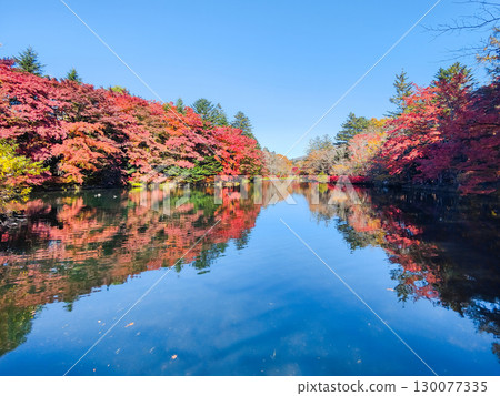 Karuizawa, Kumoba Pond (Autumn) Karuizawa, Kumoba Pond (Autumn) 130077335