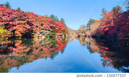 輕井澤·雲場池（秋季）輕井澤·雲場池（秋季） 130077337