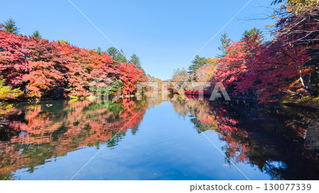 輕井澤、雲場池（秋季） 130077339