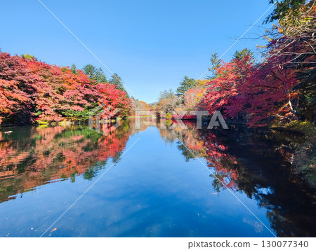 Karuizawa, Kumoba Pond (Autumn) Karuizawa, Kumoba Pond (Autumn) 130077340