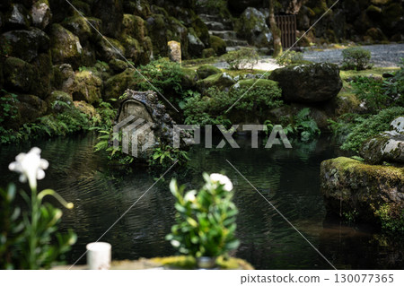 Flower floating in the pond 130077365
