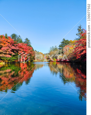 Karuizawa, Kumoba Pond (Autumn) 130077502