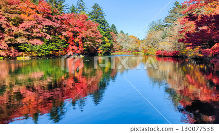 Karuizawa, Kumoba Pond (Autumn) 130077538