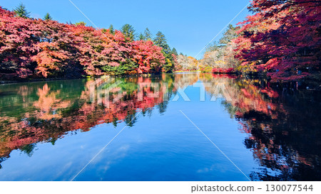 Karuizawa, Kumoba Pond (Autumn) Karuizawa, Kumoba Pond (Autumn) 130077544