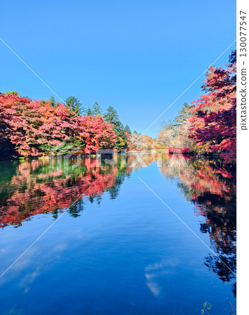 Karuizawa, Kumoba Pond (Autumn) 130077547