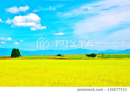 Fertile countryside Fertile countryside 130077553