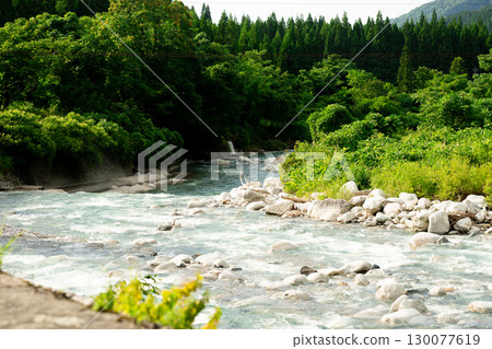 Mountain stream surrounded by fresh greenery 130077619