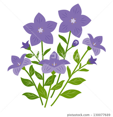 田野裡盛開的風鈴草 130077689