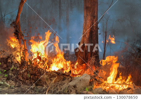 Wildfires release carbon dioxide (CO2) emissions and other greenhouse gases (GHG) that contribute to climate change. 130078650