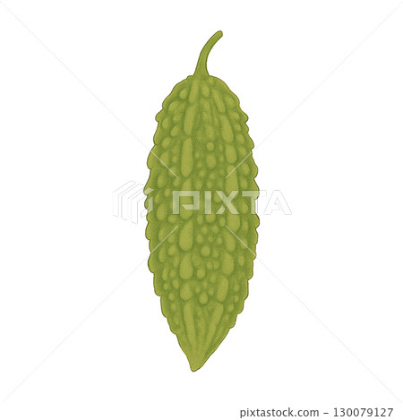 [蔬菜]苦瓜插畫 130079127