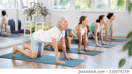 Senior woman doing Cat Cow Stretch during group yoga session Senior woman doing Cat Cow Stretch during group yoga session 130079259