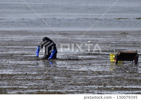 根室春國台的貝類釣魚 根室春國台的貝類釣魚 130079395