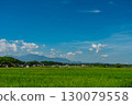 Midsummer rural landscape image overlooking the famous Mt. Daisen 130079558