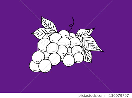 簡單的葡萄插畫 簡單的葡萄插畫 130079797