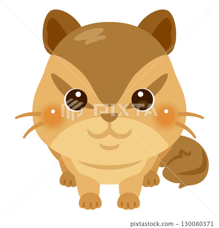 Illustration of a squirrel seen from the front Illustration of a squirrel seen from the front 130080371