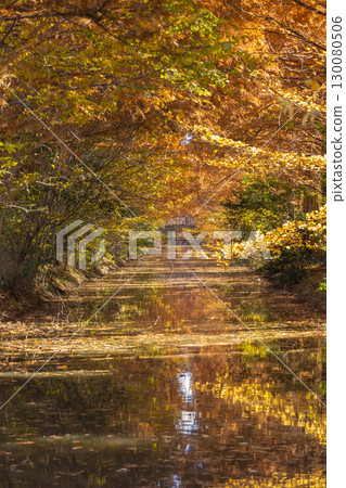 Scenery of Hanasaki Water Park in Saitama Prefecture 130080506