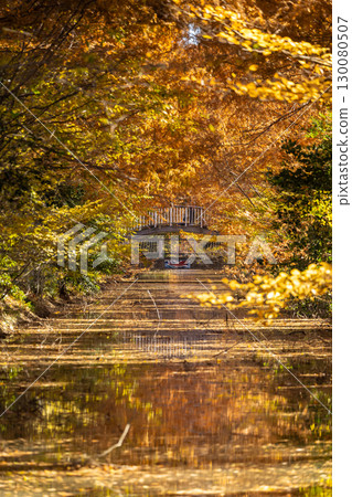 Scenery of Hanasaki Water Park in Saitama Prefecture 130080507