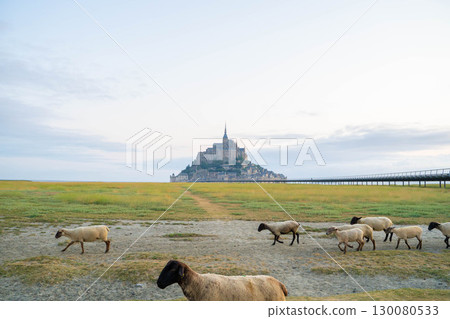 被羊群和草地包圍的聖米歇爾山(法國世界遺產) 被羊群和草地包圍的聖米歇爾山(法國世界遺產) 130080533