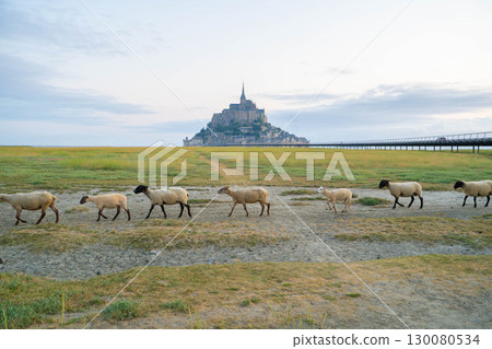 Mont Saint-Michel surrounded by sheep and grasslands (French World Heritage Site) Mont Saint-Michel surrounded by sheep and grasslands (French World Heritage Site) 130080534