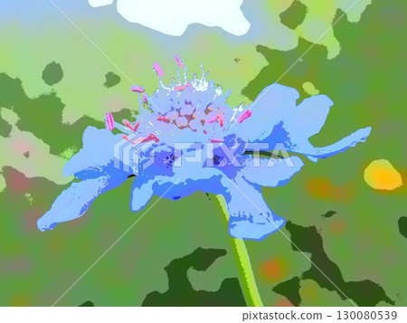 草原上的清晨藍盆花（afr20250819052448） 130080539