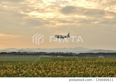 Planes at Memanbetsu Airport in Ozora Town 130080611