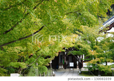 京都的寺院裡可以感受到秋天的氣息 京都的寺院裡可以感受到秋天的氣息 130081039