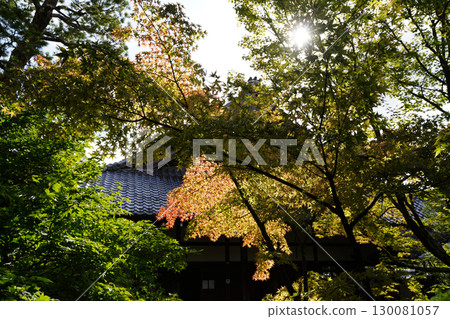 The temple grounds in Kyoto where you can feel the signs of autumn 130081057