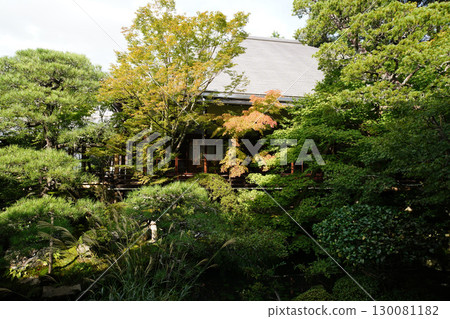 京都的寺院裡可以感受到秋天的氣息 京都的寺院裡可以感受到秋天的氣息 130081182
