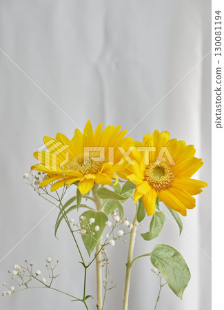 Bright yellow sunflowers Bright yellow sunflowers 130081194