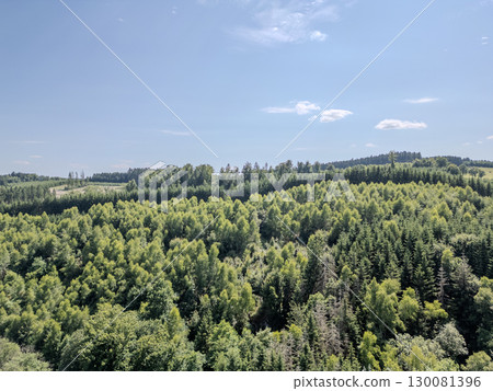 Thommen, Liege, Belgium, A Beautiful Lush Green Forest Landscape Surrounded by a Clear and Bright Thommen, Liege, Belgium, A Beautiful Lush Green Forest Landscape Surrounded by a Clear and Bright 130081396