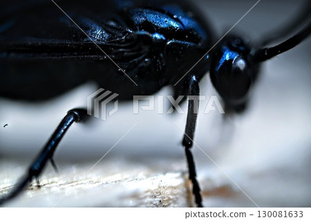 Blue Bee 藍莓系列看起來像微波爐 130081633