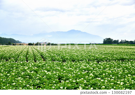 Scenery around Hironocho, Obihiro City (Obihiro City, Hokkaido) [July 2025] 130082197