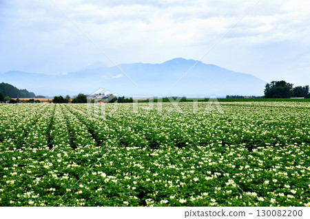 帶廣市廣野町週邊風景（北海道帶廣市）[2025年7月] 130082200