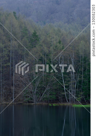 米沙卡池塘充滿著清晨的寂靜,周圍是一片正在發芽的落葉松樹林。 米沙卡池塘充滿著清晨的寂靜,周圍是一片正在發芽的落葉松樹林。 130082303