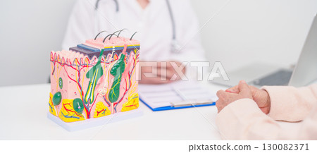 woman Patient consultation Dermatologist with anatomy of skin and hair. Skin disease and Hair loss, Systemic Lupus Erythematosus or SLE, world lupus day, May Melanoma and Skin Cancer Awareness month 130082371