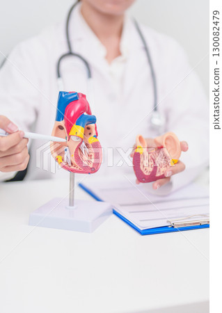 Doctor with Heart anatomy model. Elderly Patient consultation medical health for Cardiovascular Diseases, Atherosclerosis, Hypertensive, Heart attack, heart failure and world Heart day concept 130082479