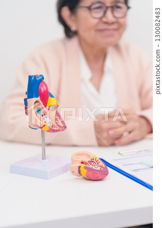 Doctor with Heart anatomy model. Elderly Patient consultation medical health for Cardiovascular Diseases, Atherosclerosis, Hypertensive, Heart attack, heart failure and world Heart day concept Doctor with Heart anatomy model. Elderly Patient consultation medical health for Cardiovascular Diseases, Atherosclerosis, Hypertensive, Heart attack, heart failure and world Heart day concept 130082483