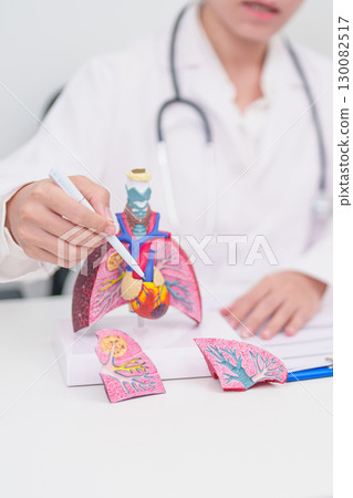 Doctor point heart Cardiovascular and Respiratory anatomy for Disease. Lung Cancer, Asthma, Chronic Obstructive Pulmonary or COPD, Bronchitis, Emphysema, Cystic Fibrosis, Bronchiectasis, Pneumonia Doctor point heart Cardiovascular and Respiratory anatomy for Disease. Lung Cancer, Asthma, Chronic Obstructive Pulmonary or COPD, Bronchitis, Emphysema, Cystic Fibrosis, Bronchiectasis, Pneumonia 130082517