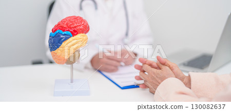Elderly Patient consulting Doctor to Brain disease, Senior Health Medical Diagnosis. Anatomy Brain model for Explanation, Brain Tumor, neurological disorders, Dementia, alzheimer, parkinson and Mental 130082637